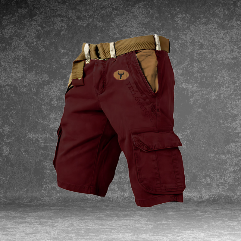 Aaron - Retro Shorts